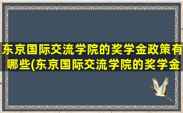 东京国际交流学院的奖学金政策有哪些(东京国际交流学院的奖学金政策怎么样)