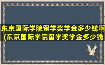 东京国际学院留学奖学金多少钱啊(东京国际学院留学奖学金多少钱啊)