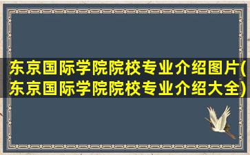 东京国际学院院校专业介绍图片(东京国际学院院校专业介绍大全)