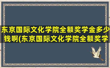 东京国际文化学院全额奖学金多少钱啊(东京国际文化学院全额奖学金多少钱一个月)