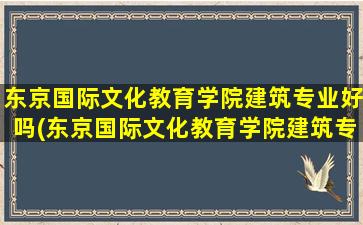 东京国际文化教育学院建筑专业好吗(东京国际文化教育学院建筑专业好吗女生)