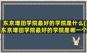 东京增田学院最好的学院是什么(东京增田学院最好的学院是哪一个)