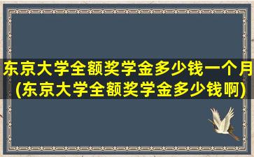 东京大学全额奖学金多少钱一个月(东京大学全额奖学金多少钱啊)