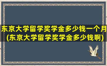 东京大学留学奖学金多少钱一个月(东京大学留学奖学金多少钱啊)