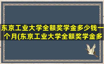 东京工业大学全额奖学金多少钱一个月(东京工业大学全额奖学金多少钱啊)