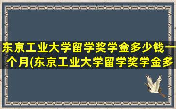 东京工业大学留学奖学金多少钱一个月(东京工业大学留学奖学金多少钱啊)