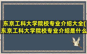 东京工科大学院校专业介绍大全(东京工科大学院校专业介绍是什么)