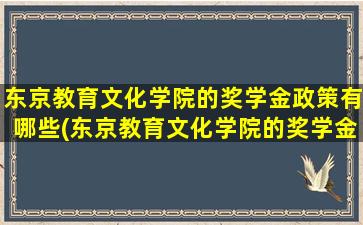 东京教育文化学院的奖学金政策有哪些(东京教育文化学院的奖学金政策怎么样)