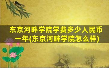 东京河畔学院学费多少人民币一年(东京河畔学院怎么样)