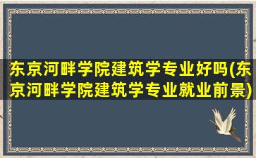 东京河畔学院建筑学专业好吗(东京河畔学院建筑学专业就业前景)