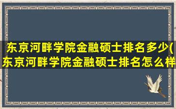 东京河畔学院金融硕士排名多少(东京河畔学院金融硕士排名怎么样)