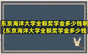 东京海洋大学全额奖学金多少钱啊(东京海洋大学全额奖学金多少钱一个月)