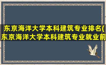 东京海洋大学本科建筑专业排名(东京海洋大学本科建筑专业就业前景)