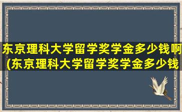 东京理科大学留学奖学金多少钱啊(东京理科大学留学奖学金多少钱一个月)