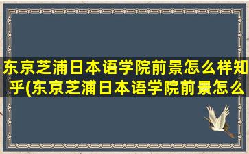 东京芝浦日本语学院前景怎么样知乎(东京芝浦日本语学院前景怎么样呀)