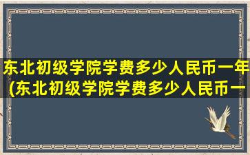 东北初级学院学费多少人民币一年(东北初级学院学费多少人民币一个月)