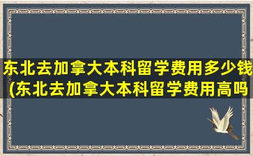 东北去加拿大本科留学费用多少钱(东北去加拿大本科留学费用高吗)