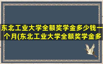 东北工业大学全额奖学金多少钱一个月(东北工业大学全额奖学金多少钱啊)