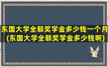 东国大学全额奖学金多少钱一个月(东国大学全额奖学金多少钱啊)