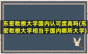 东密歇根大学国内认可度高吗(东密歇根大学相当于国内哪所大学)