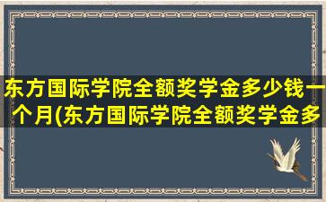 东方国际学院全额奖学金多少钱一个月(东方国际学院全额奖学金多少钱啊)