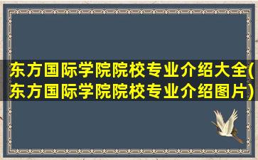 东方国际学院院校专业介绍大全(东方国际学院院校专业介绍图片)