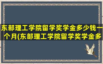 东部理工学院留学奖学金多少钱一个月(东部理工学院留学奖学金多少钱啊)