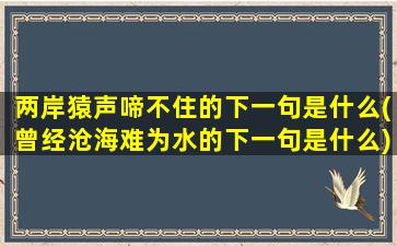 两岸猿声啼不住的下一句是什么(曾经沧海难为水的下一句是什么)