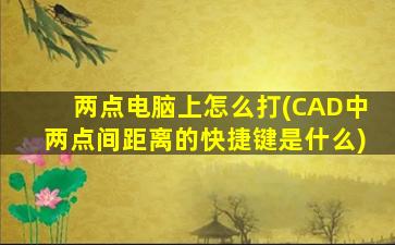 两点电脑上怎么打(CAD中两点间距离的快捷键是什么)