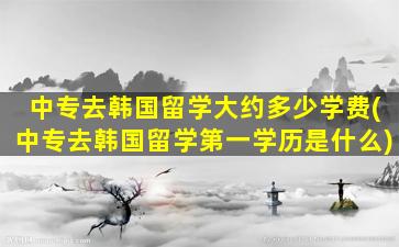 中专去韩国留学大约多少学费(中专去韩国留学第一学历是什么)