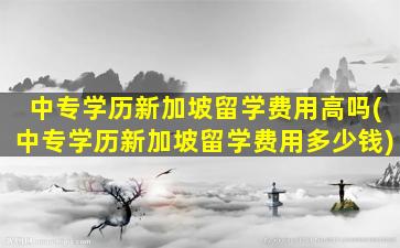 中专学历新加坡留学费用高吗(中专学历新加坡留学费用多少钱)