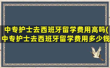 中专护士去西班牙留学费用高吗(中专护士去西班牙留学费用多少钱)