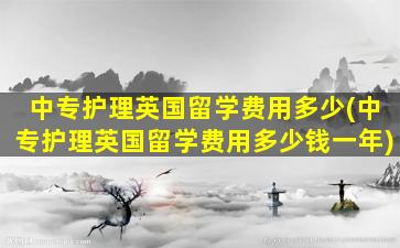 中专护理英国留学费用多少(中专护理英国留学费用多少钱一年)