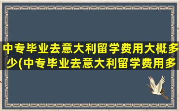 中专毕业去意大利留学费用大概多少(中专毕业去意大利留学费用多少钱)