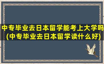 中专毕业去日本留学能考上大学吗(中专毕业去日本留学读什么好)