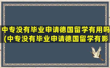 中专没有毕业申请德国留学有用吗(中专没有毕业申请德国留学有影响吗)