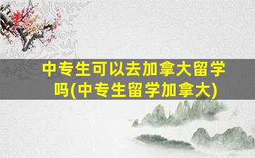 中专生可以去加拿大留学吗(中专生留学加拿大)