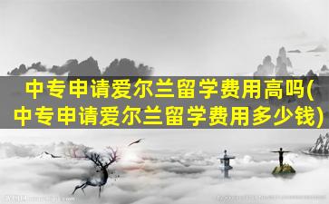 中专申请爱尔兰留学费用高吗(中专申请爱尔兰留学费用多少钱)