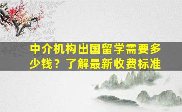 中介机构出国留学需要多少钱？了解最新收费标准