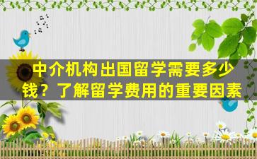 中介机构出国留学需要多少钱？了解留学费用的重要因素