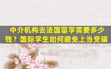 中介机构去法国留学需要多少钱？国际学生如何避免上当受骗