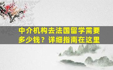 中介机构去法国留学需要多少钱？详细指南在这里