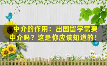 中介的作用：出国留学需要中介吗？这是你应该知道的！