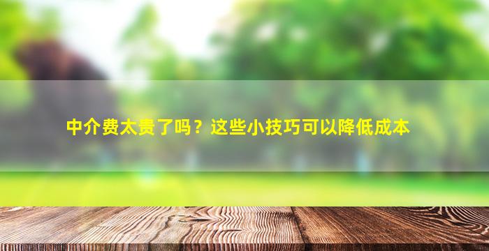 中介费太贵了吗？这些小技巧可以降低成本