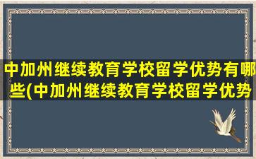 中加州继续教育学校留学优势有哪些(中加州继续教育学校留学优势有哪些方面)