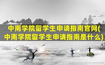 中南学院留学生申请指南官网(中南学院留学生申请指南是什么)