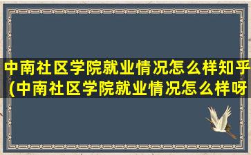 中南社区学院就业情况怎么样知乎(中南社区学院就业情况怎么样呀)