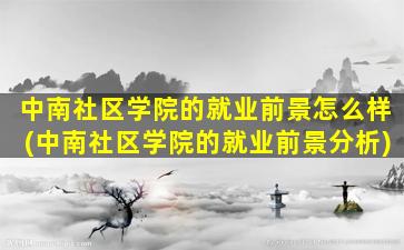 中南社区学院的就业前景怎么样(中南社区学院的就业前景分析)