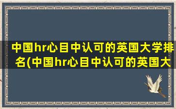 中国hr心目中认可的英国大学排名(中国hr心目中认可的英国大学是什么)