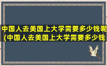 中国人去美国上大学需要多少钱呢(中国人去美国上大学需要多少钱一年)